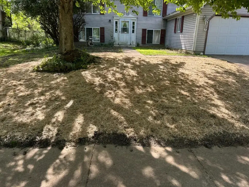 Lawn seeding by Red Oak Exterior