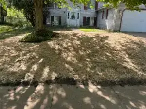 Lawn seeding by Red Oak Exterior