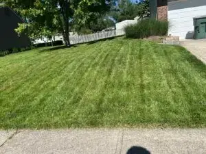 Red Oak Exterior Lawncare