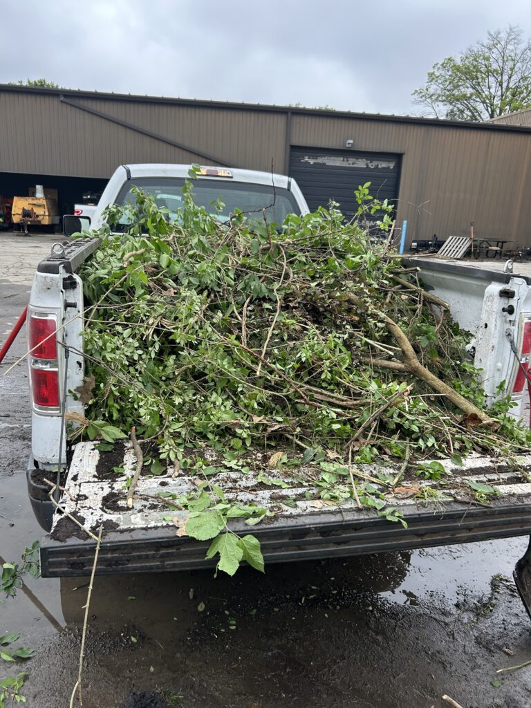 Yard Waste Removal by Red Oak Exterior