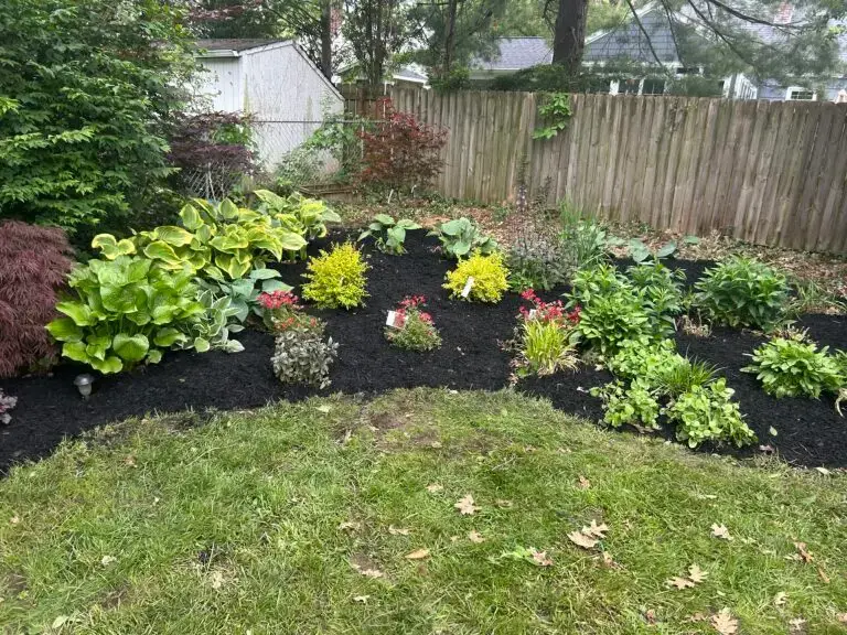 Planting by Red Oak Exterior