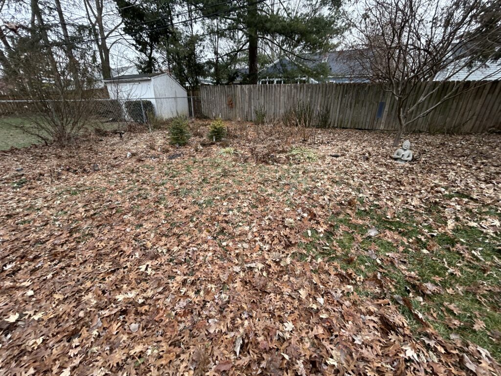 Leaf Removal by Red Oak Exterior